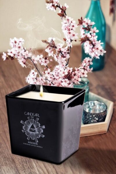 CANDEARL | Candle Lotus & Cherry